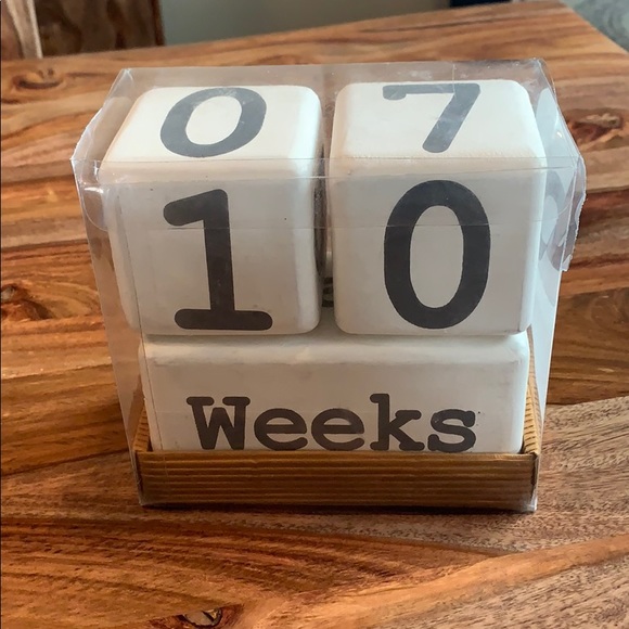 Mud Pie Other - Mud Pie Milestone Wood Blocks